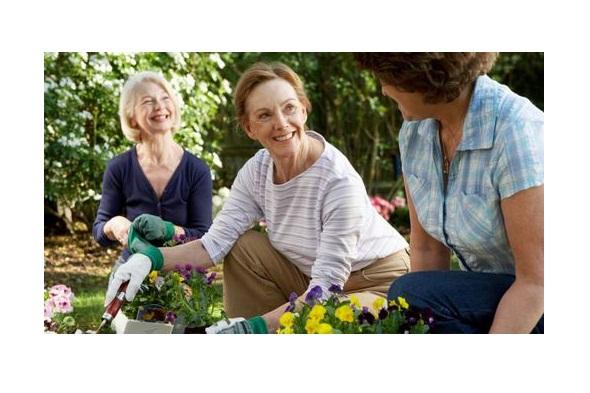 Yuk Berkebun! Ini Manfaatnya untuk Kesehatan Fisik dan Mental