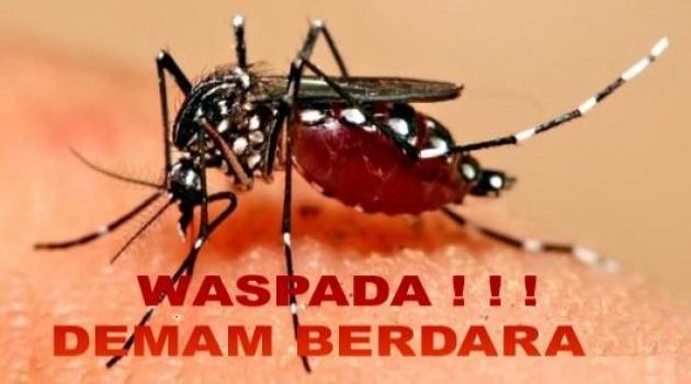 Ulasan Lengkap Mengenai Demam Berdarah Dengue (DBD)