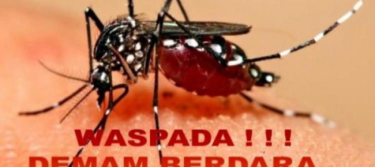Ulasan Lengkap Mengenai Demam Berdarah Dengue (DBD)