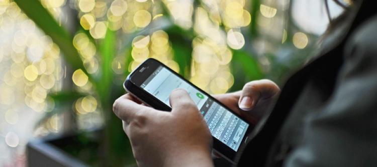 Optimasi WhatsApp Business Untuk Layanan Apotek