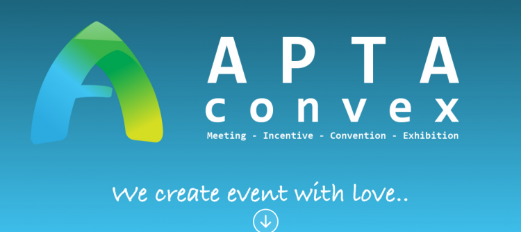 Website Profile PT APTA Convex