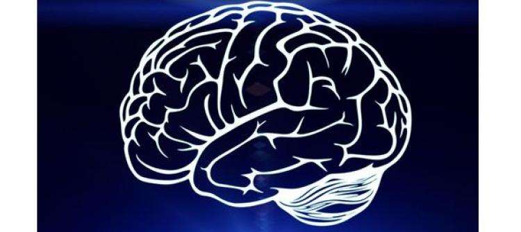 Penjelasan Ilmiah di Balik Sensasi Rasa Geli